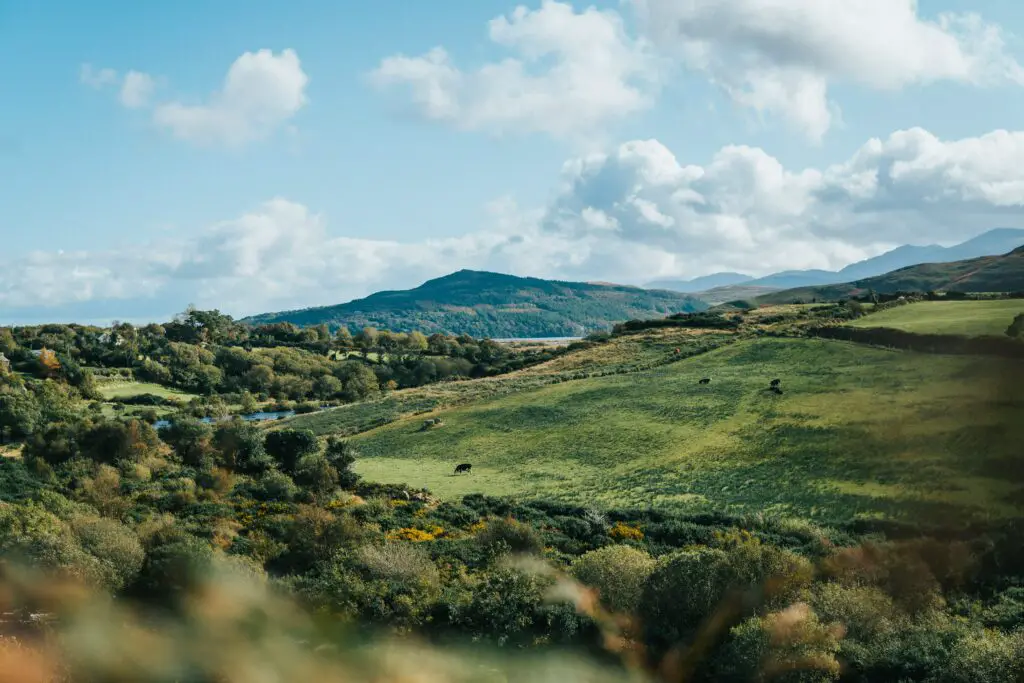 How Big is Ireland Compared to Texas? - livingireland.com